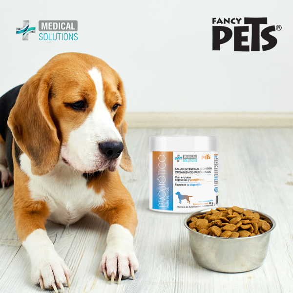 MS PROBIOTICO PARA PERROS 90 G