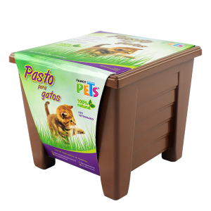 PASTO PARA GATOS