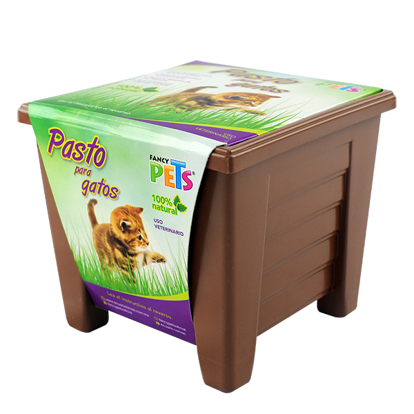 PASTO PARA GATOS