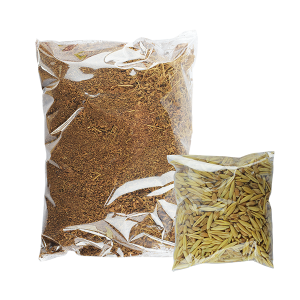 PASTO PARA GATOS