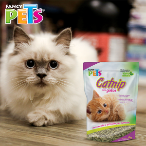 CATNIP PARA GATOS 28G