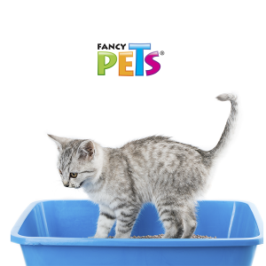 ARENA PARA GATO 3KG