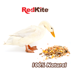 MEZCLA DE SEMILLAS PARA PATOS 1 KG