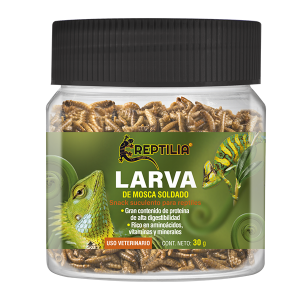 REPTILIA LARVA DE MOSCA SOLDADO 30 GRS
