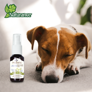 KIT DE AROMATERAPIA RELAJACION 60 ML