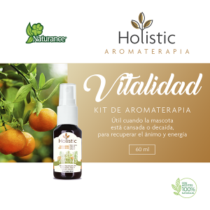 KIT DE AROMATERAPIA VITALIDAD 60 ML