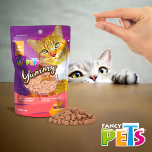 YUMMY DELICE PREMIOS P/GATOS 60 GR