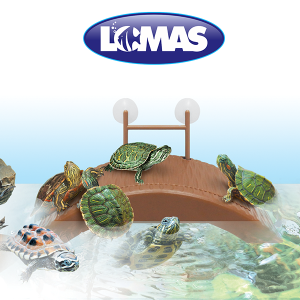 MUELLE FLOTANTE PARA TORTUGAS