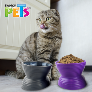 SET DE 2 PLATOS PARA GATO