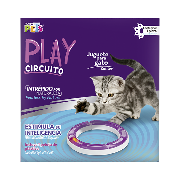JUGUETE CIRCUITO PLAY