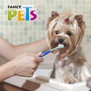 CEPILLO DENTAL PARA PERROS Y GATOS (DOBLE CABEZAL 360°)