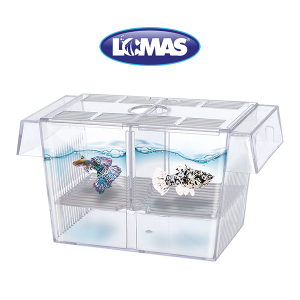 MATERNIDAD FLOTANTE 1.4 L