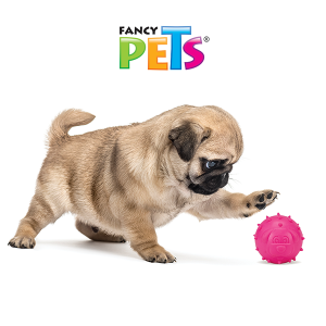 JUGUETE PELOTA DE CAUCHO DOGGY