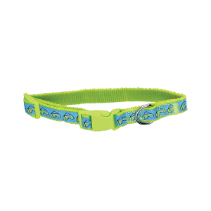 COLLAR MEDIANO DE NYLON CON LISTON BORDADO