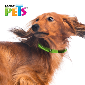 COLLAR MEDIANO CON ULTRA GRIP Y BANDAS REFLEJANTES VERDE