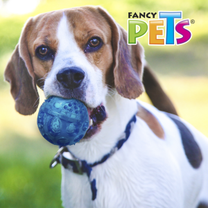 JUGUETE PELOTA FLEXIBLE GRANDE CON SONIDO