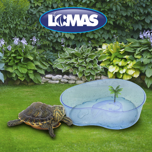 TORTUGUERO EN FORMA DE RIÑON 14 IN (35 CM)