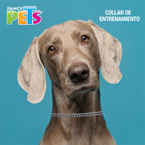 COLLAR DE ENTRENAMIENTO 65 CM (4.0 MM)