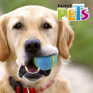 PELOTA SPORT FETCH