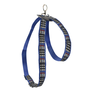 ARNES MEDIANO AZUL BERRYDOG
