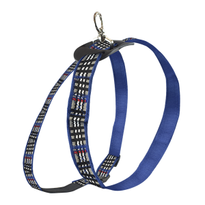 ARNES MEDIANO AZUL BERRYDOG