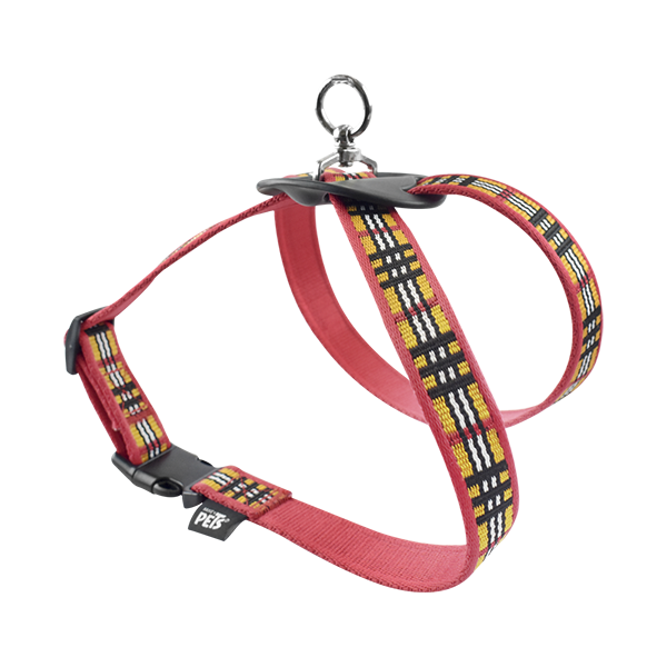 ARNES CHICO ROJO BERRYDOG