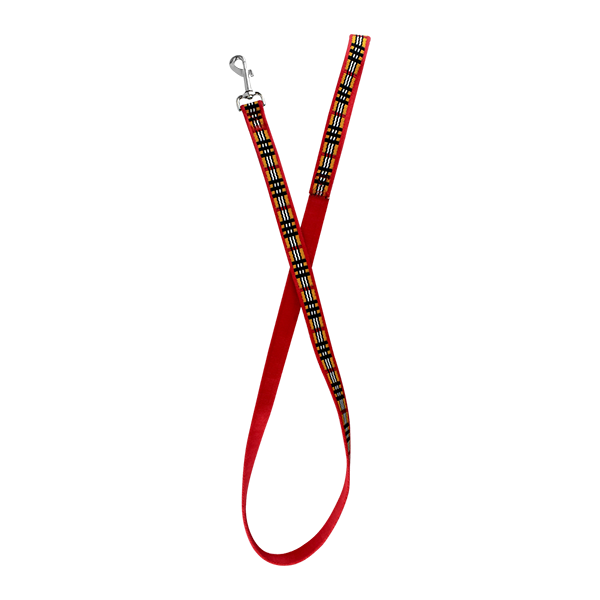 CORREA ROJA BERRYDOG