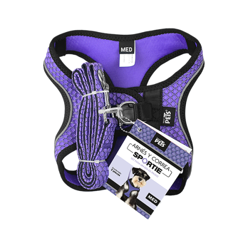 SET ARNES Y CORREA SPORTIE MEDIANA VIOLETA