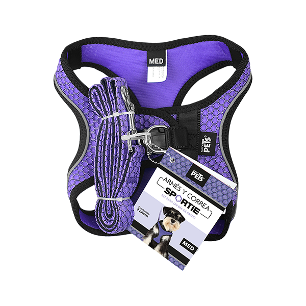 SET ARNES Y CORREA SPORTIE MEDIANA VIOLETA