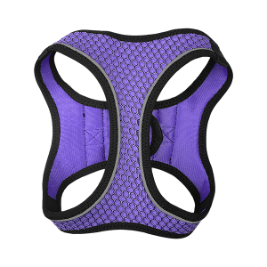 SET ARNES Y CORREA SPORTIE MEDIANA VIOLETA