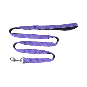 SET ARNES Y CORREA SPORTIE MEDIANA VIOLETA