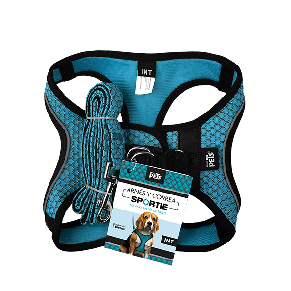 SET ARNES Y CORREA SPORTIE INT AZUL