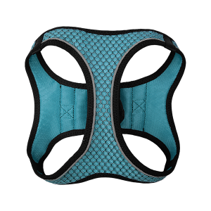 SET ARNES Y CORREA SPORTIE INT AZUL