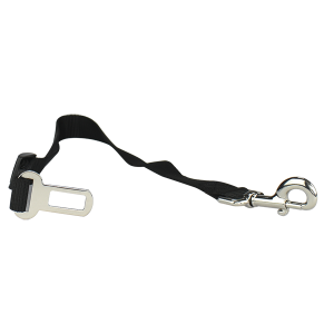 CORREA DE SEGURIDAD XTREME