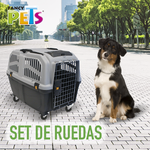 SET DE RUEDAS PARA SKUDO IATA