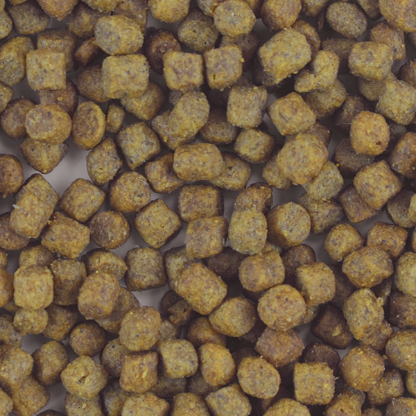 PS1804_004 PERFECT SENSE ALIMENTO PREMIUM P/CACHORRO SB