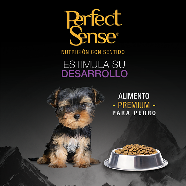 PS1804_009 PERFECT SENSE ALIMENTO PREMIUM P/CACHORRO SB
