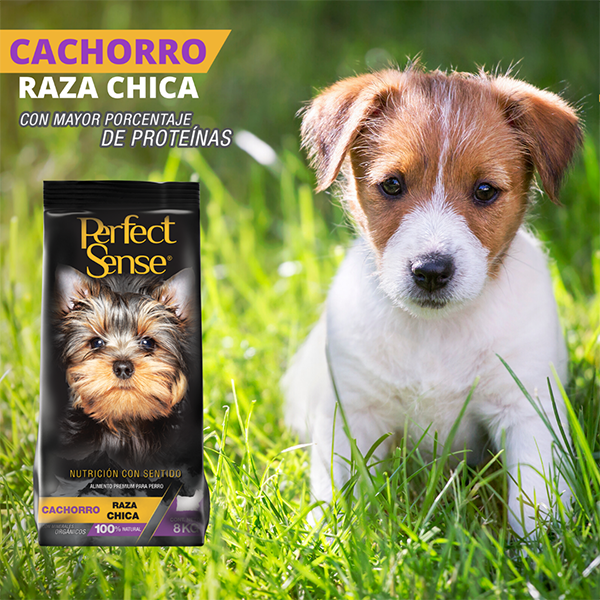 PS1804_010 PERFECT SENSE ALIMENTO PREMIUM P/CACHORRO SB