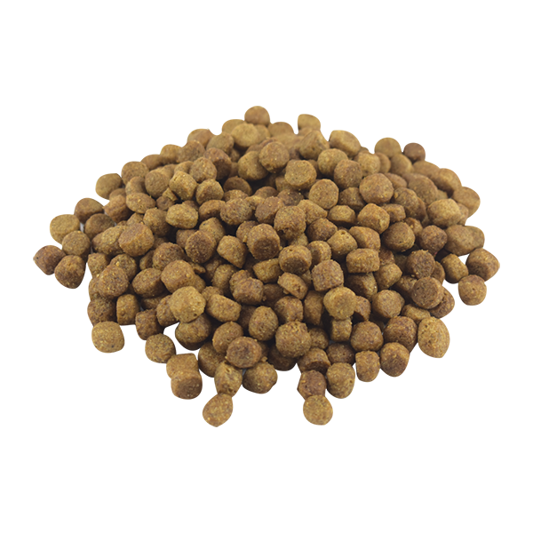 PS1812_003 PERFECT SENSE CACHORRO MEDIANO/GRANDE/GIGANTE