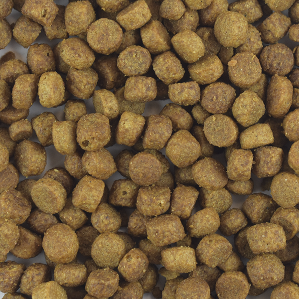 PS1812_004 PERFECT SENSE CACHORRO MEDIANO/GRANDE/GIGANTE