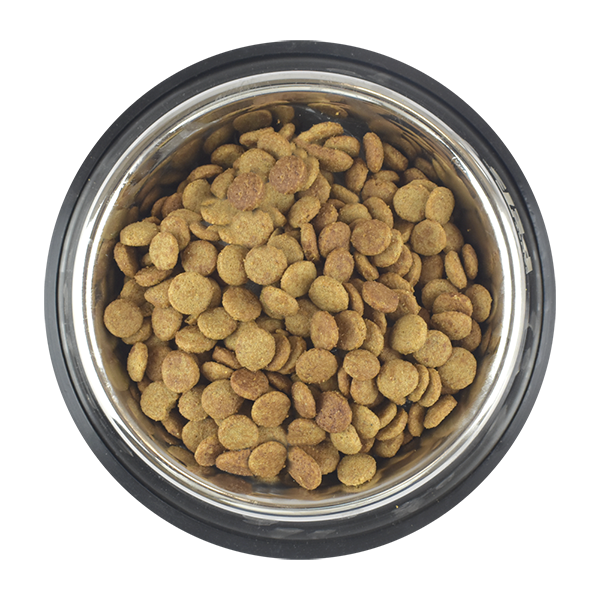 PS1812_006 PERFECT SENSE CACHORRO MEDIANO/GRANDE/GIGANTE