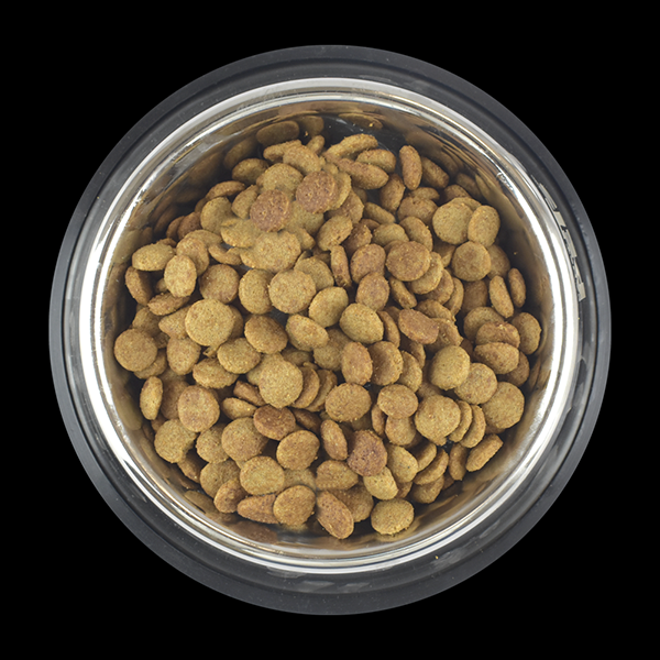 PS1812_008 PERFECT SENSE CACHORRO MEDIANO/GRANDE/GIGANTE