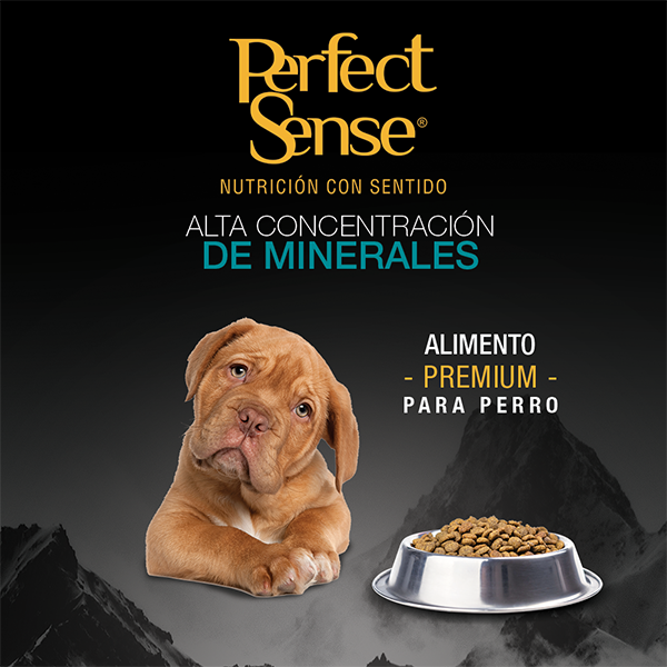 PS1812_009 PERFECT SENSE CACHORRO MEDIANO/GRANDE/GIGANTE