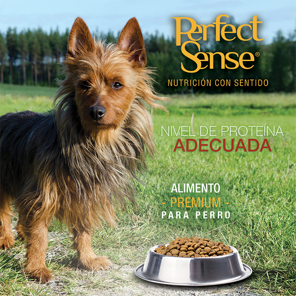 PERFECT SENSE ADULTO SB 3KG y 8KG
