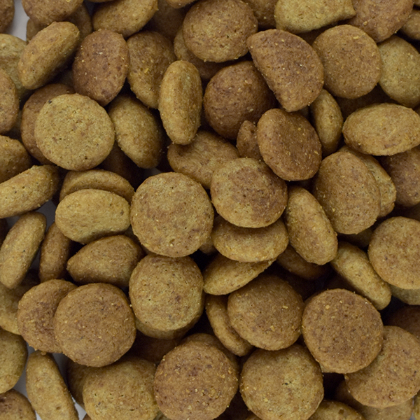 PS1832_004 PERFECT SENSE ADULTO RAZAS MEDIANAS | GRANDES | GIGANTES