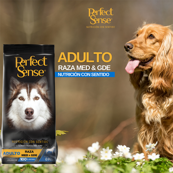 PS1834_002 PERFECT SENSE ADULTO RAZAS MEDIANAS | GRANDES | GIGANTES