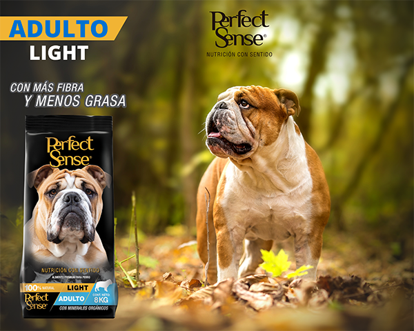 PERFECT SENSE ALIMENTO SECO LIGHT