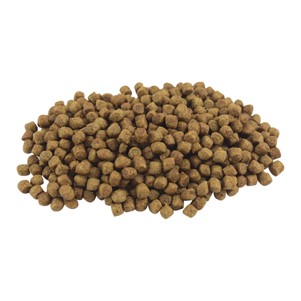 PERFECT SENSE ALIMENTO SECO P/PERROS SENIOR