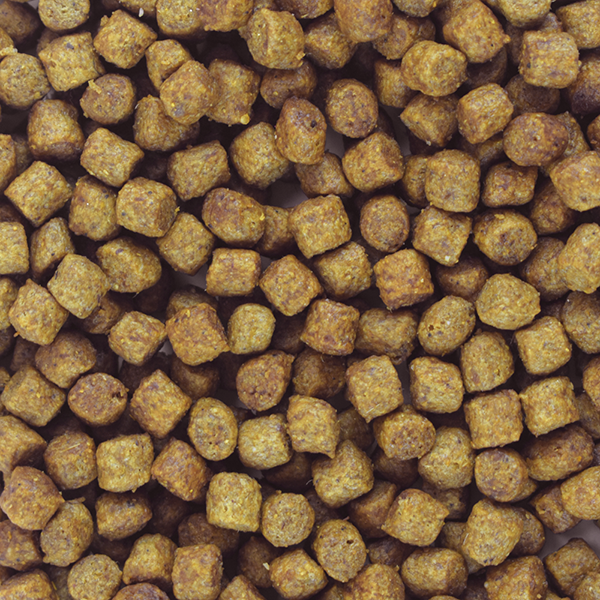 PERFECT SENSE ALIMENTO SECO P/PERROS SENIOR