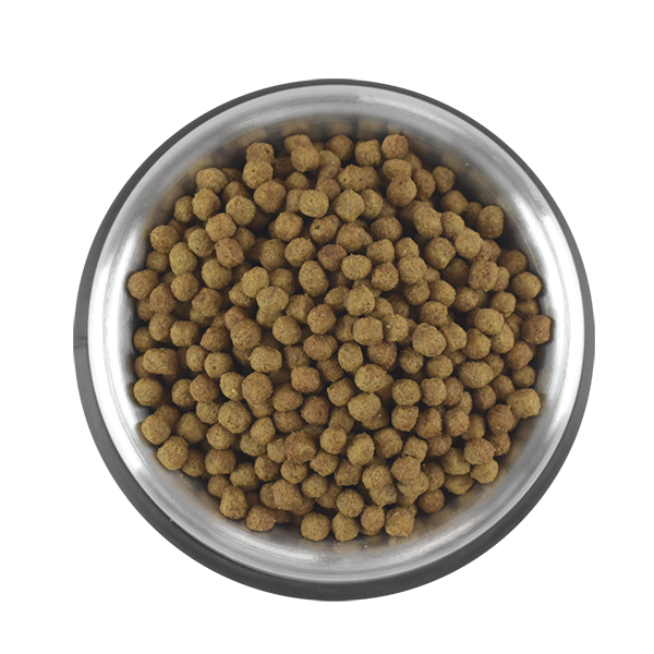 PERFECT SENSE ALIMENTO SECO P/PERROS SENIOR